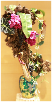 �~�̓A�����W�����g Bonsai tree arrangement
