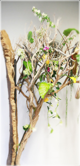 �R���N�̖̍�i The cork wood work