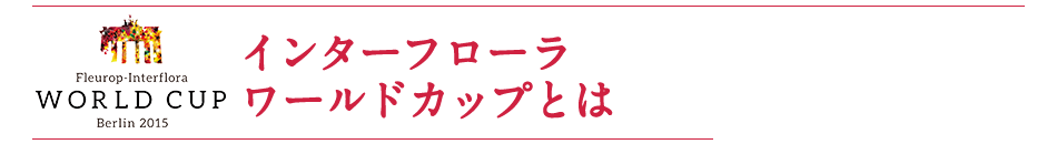 �C���^�[�t���[�����[���h�J�b�v�Ƃ�