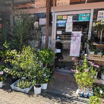 �X�܊O�ω摜