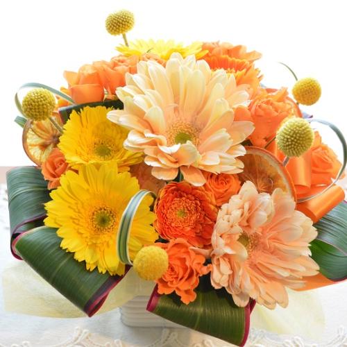 �L���[�g�ȃA�����W�@OrangeLiqueur