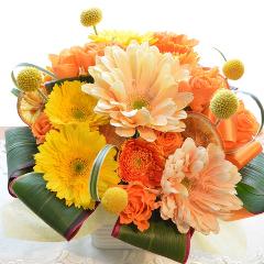 �L���[�g�ȃA�����W�@OrangeLiqueur