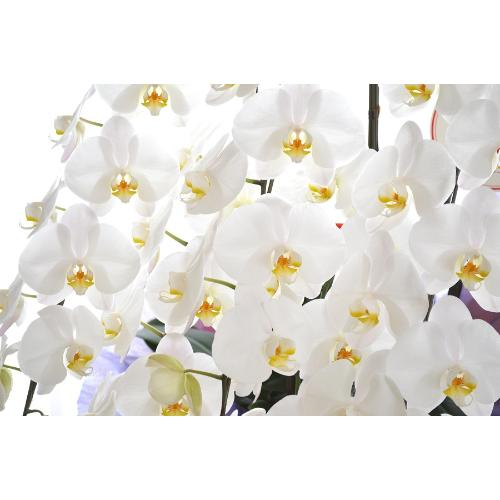 �Ӓ����@���@�T�{���ā@�������p�@�����O�@��c��@�������@�����z�B�@�������A������݁A���~�A���ފ݁A�����A�@���A���ԁA���ʖ�A���ʎ�  ��������3