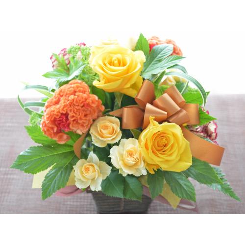 �L���[�g�ȃA�����W�����g�@YellowSense�@(�o���̃t�����[�A�����W�����g�j�@���F�I�����W�n�@�a�����A�����L�O���A���j���A���\��A�R���T�[�g�A���C�u2
