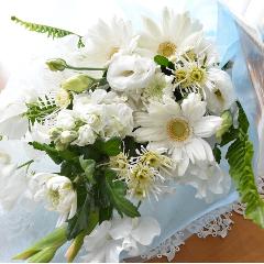�������p�@�u�[�P�@�a�mMix�@����