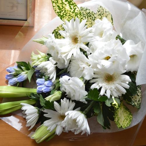 �������p�@�u�[�P�@�a�mMix�@���g