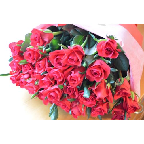 �����u�[�P�@RedRose�@�i�o���̉ԑ��j�@�Ԍn �a�����A�����L�O���A���j���A�����}�i���ʁA���}�j�A�ސE�j���A���\��4