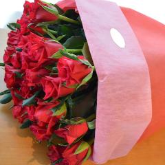 �����u�[�P�@RedRose�@�i�o���̉ԑ��j�@�Ԍn �a�����A�����L�O���A���j���A�����}�i���ʁA���}�j�A�ސE�j���A���\��