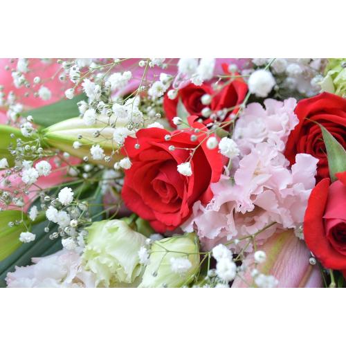 �������A���@�u�[�P�@Chopin�@�i�����ƃo���̉ԑ��j�s���N�n�@�a�����A�����L�O���A���j���A���ʁA���\��A�h�V�̓�4