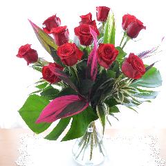 �P�_�[�X�̐Ԃ��o���i�ԕr����j�@���ăX�^�C���u�[�P