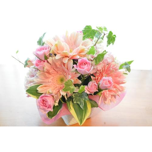 �L���[�g�ȃA�����W�@PurePink�@(�o���ƃK�[�x���̃t�����[�A�����W�����g�j�@�s���N�n�@�a�����A�����L�O���A���j���A���\��A�R���T�[�g�A���C�u3