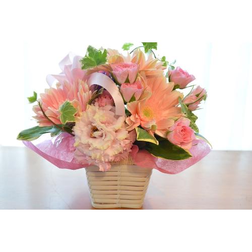 �L���[�g�ȃA�����W�@PurePink�@(�o���ƃK�[�x���̃t�����[�A�����W�����g�j�@�s���N�n�@�a�����A�����L�O���A���j���A���\��A�R���T�[�g�A���C�u5