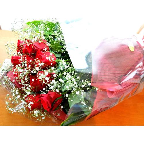 �P�_�[�X�̐Ԃ��o��  ���ԓ���i�ԑ��j�Ԍn�@�o�����^�C���A�z���C�g�f�C�A�����L�O���A�v���|�[�Y�A���l�̓��A�N���X�}�X2