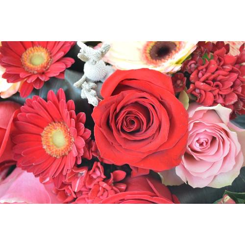 ��l�̃u�[�P�@Rich�@Red �i�o���̉ԑ��j�Ԍn�@�a�����A�����L�O���A���j���A�����}�i���ʁA���}�j�A�ސE�j���A���\��5