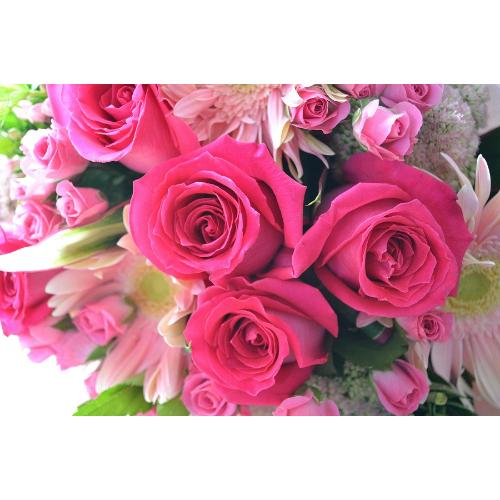 ��l�̃u�[�P�@LadyPink�@�i�o���ƃK�[�x���̉ԑ��j�s���N�n�@�a�����A�����L�O���A���j���A�����}�i���ʁA���}�j�A�ސE�j���A���\��3
