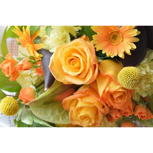 �v�`�ґ�ȃu�[�P�@OrangeHouse�@�i�o���ƃK�[�x���̉ԑ��j�C�G���[�I�����W�n�@�a�����A�����L�O���A���j���A���ʁA���\��A�h�V�̓��@5