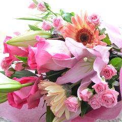 �v�`�ґ�ȃu�[�P�@SilentPink�@�i�o���ƃ����̉ԑ��j�s���N�n�@�a�����A�����L�O���A���j���A�h�V�̓�