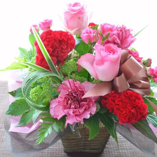 �L���[�g�ȃA�����W�@PinkSpice�@(�o���̃t�����[�A�����W�����g�j�s���N�n�@�a�����A�����L�O���A���j���A�h�V�̓�