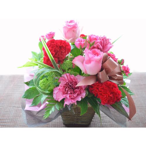�L���[�g�ȃA�����W�@PinkSpice�@(�o���̃t�����[�A�����W�����g�j�s���N�n�@�a�����A�����L�O���A���j���A�h�V�̓�3