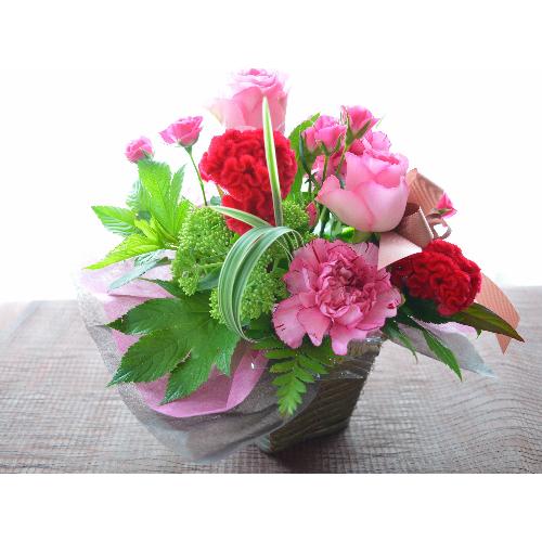 �L���[�g�ȃA�����W�@PinkSpice�@(�o���̃t�����[�A�����W�����g�j�s���N�n�@�a�����A�����L�O���A���j���A�h�V�̓�5