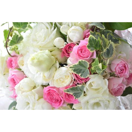 �v�`�ґ�ȃu�[�P�@WhiteEngel�@�i�g���R�L�L���E�̉ԑ��j���n�@�a�����A�����L�O���A���j���A�����}�i���ʁA���}�j�A�ސE�j���A���\��3