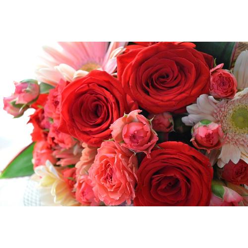 �v�`�ґ�ȃu�[�P�@LoveRed�@�i�o���ƃK�[�x���̉ԑ��j�Ԍn�@�a�����A�����L�O���A���j���A���ʁA���\��A�h�V�̓�5