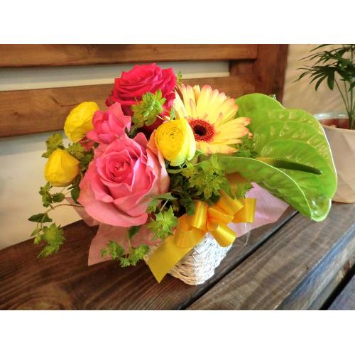 �L���[�g�ȃA�����W  PinkRose�@Mix�@(�o���ƃK�[�x���̃t�����[�A�����W�����g�j�@mix�J���[�n�@�a�����A�����L�O���A���j���A���\��A�R���T�[�g�A���C�u2