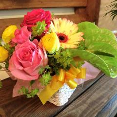 �L���[�g�ȃA�����W  PinkRose�@Mix�@(�o���ƃK�[�x���̃t�����[�A�����W�����g�j�@mix�J���[�n�@�a�����A�����L�O���A���j���A���\��A�R���T�[�g�A���C�u