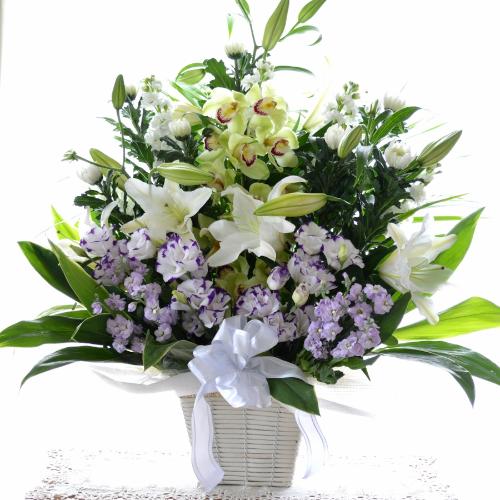 �������p�@�A�����W�����g�@�a�mMix�@�P��