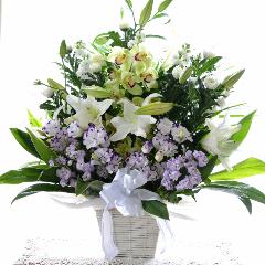 �������p�@�A�����W�����g�@�a�mMix�@�P��