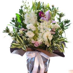 �������p�@�A�����W�����g�i�a�mMix�j�@�䍂�@�i�e�Ɨ��̃t�����[�A�����W�����g�j�@���n�@�������A������݁A���~�A���ފ݁A�����A�@���A�l�\����A�����