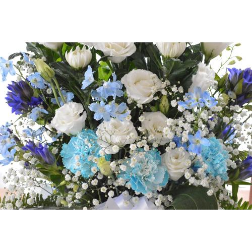 �������p�@�A�����W�����g�@�a�mMix�@����@�i�e�ƃg���R�L�L���E�̃t�����[�A�����W�����g�j ���n�@�������A������݁A���~�A���ފ݁A�����A�@���A���ԁA���ʖ�4
