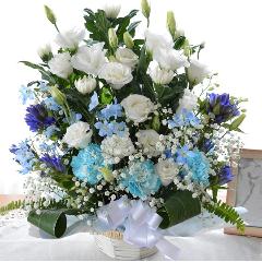 �������p�@�A�����W�����g�@�a�mMix�@����@�i�e�ƃg���R�L�L���E�̃t�����[�A�����W�����g�j ���n�@�������A������݁A���~�A���ފ݁A�����A�@���A���ԁA���ʖ�