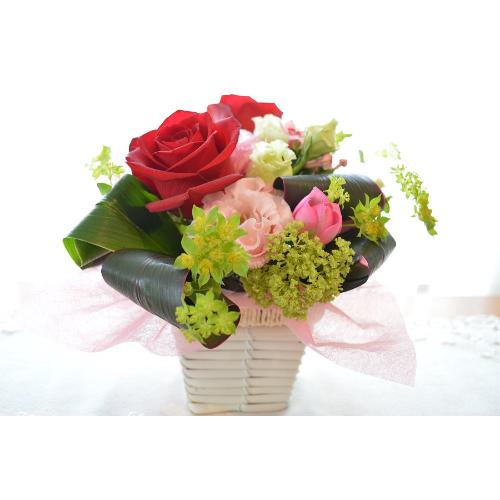 �L���[�g�ȃA�����W�����g�@RedSpot�@(�o���̃t�����[�A�����W�����g�j�@���b�h�n�@�a�����A�����L�O���A���j���A���\��A�R���T�[�g�A���C�u3