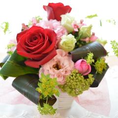 �L���[�g�ȃA�����W�����g�@RedSpot�@(�o���̃t�����[�A�����W�����g�j�@���b�h�n�@�a�����A�����L�O���A���j���A���\��A�R���T�[�g�A���C�u