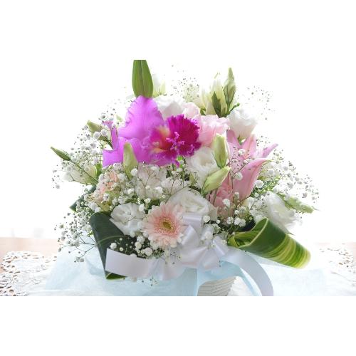 �������p�@�A�����W�����g�@���g�@�i�g���R�L�L���E�ƃ����̃t�����[�A�����W�����g�j  ���n�@�������A������݁A���~�A���ފ݁A�����A�@��2