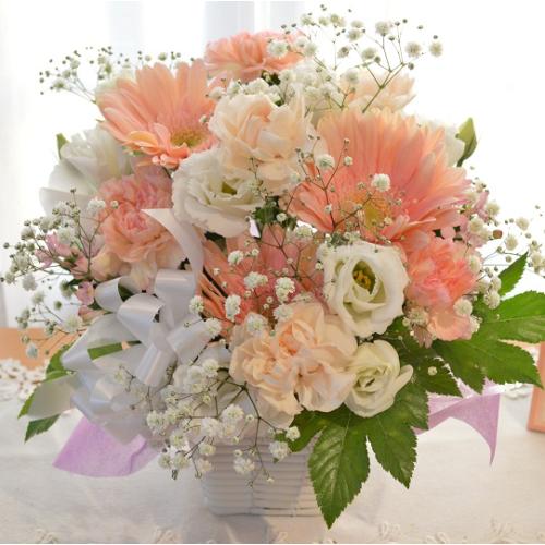 �������p�@�A�����W�����g�@AngelCollar�@�i�K�[�x���ƃg���R�L�L���E�̃t�����[�A�����W�������g�j�@���n�@�������A������݁A���~�A���ފ݁A�����A�@��