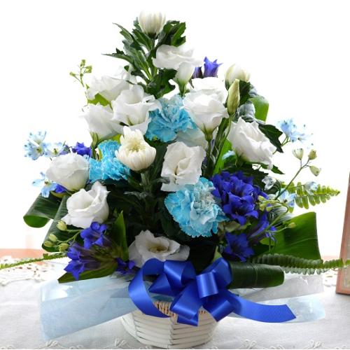 �������p�@�A�����W�����g�@�a�mMix�@����@�i�e�ƃg���R�L�L���E�̃t�����[�A�����W�������g�j�@���n�@�������A������݁A���~�A���ފ݁A�����A�@���A����