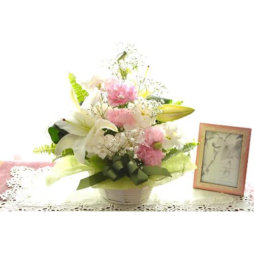�������p�A�����W�����g�@�m�ԁ@�@��с@�i�����ƃg���R�L�L���E�̃t�����[�A�����W�������g�j�@�@���n�@�������A������݁A���~�A���ފ݁A�����A�@���A����2