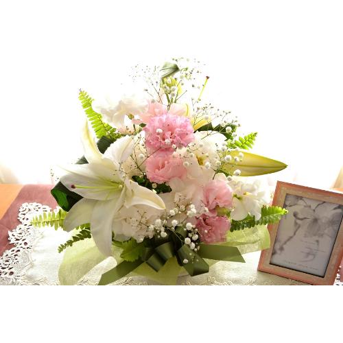 �������p�A�����W�����g�@�m�ԁ@�@��с@�i�����ƃg���R�L�L���E�̃t�����[�A�����W�������g�j�@�@���n�@�������A������݁A���~�A���ފ݁A�����A�@���A����5
