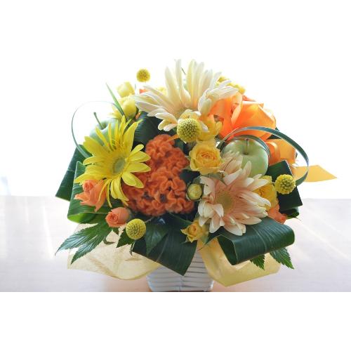 �L���[�g�ȃA�����W�@SoftYellow�@�i���[�ׂ�Ƃ����o���̃t�����[�A�����W�����g�j���F�n�@���a�����A�����L�O���A���j���A�h�V�̓�4