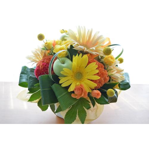 �L���[�g�ȃA�����W�@SoftYellow�@�i���[�ׂ�Ƃ����o���̃t�����[�A�����W�����g�j���F�n�@���a�����A�����L�O���A���j���A�h�V�̓�5