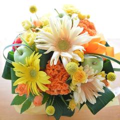 �L���[�g�ȃA�����W�@SoftYellow�@�i���[�ׂ�Ƃ����o���̃t�����[�A�����W�����g�j���F�n�@���a�����A�����L�O���A���j���A�h�V�̓�