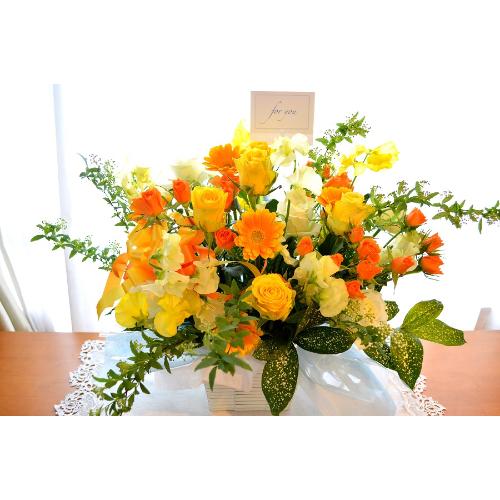 �A���x�X�N�@�i�o���ƃK�[�x���̃t�����[�A�����W�����g�j�C�G���[�I�����W�n�@�a�����A�����L�O���A���j���A�J�X�A�J�ƁA���\��2