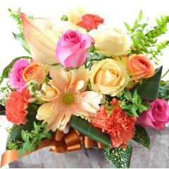 ��l�̃A�����W�����g�@HappyDress�@�i�o���ƃK�[�x���̃t�����[�A�����W�����g�jMix�J���[�@�a�����A�����L�O���A���j��