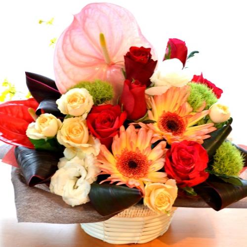 ��l�̃A�����W�����g�@Entertainment�@�i�o���ƃK�[�x���̃t�����[�A�����W�����g�jMix�J���[�@�a�����A�����L�O���A���j��