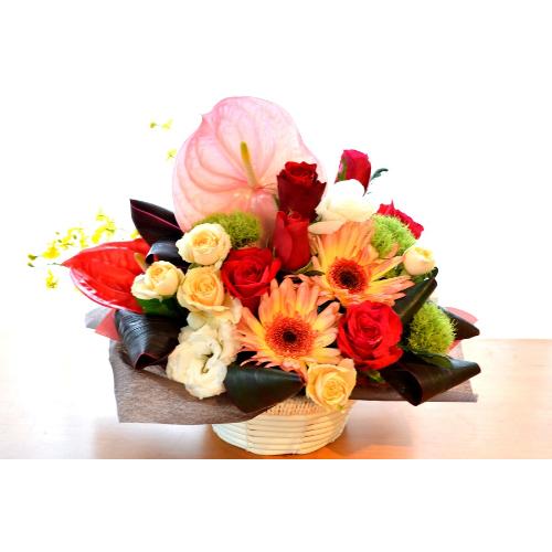 ��l�̃A�����W�����g�@Entertainment�@�i�o���ƃK�[�x���̃t�����[�A�����W�����g�jMix�J���[�@�a�����A�����L�O���A���j��2