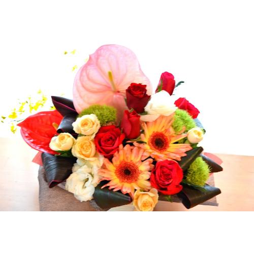 ��l�̃A�����W�����g�@Entertainment�@�i�o���ƃK�[�x���̃t�����[�A�����W�����g�jMix�J���[�@�a�����A�����L�O���A���j��3