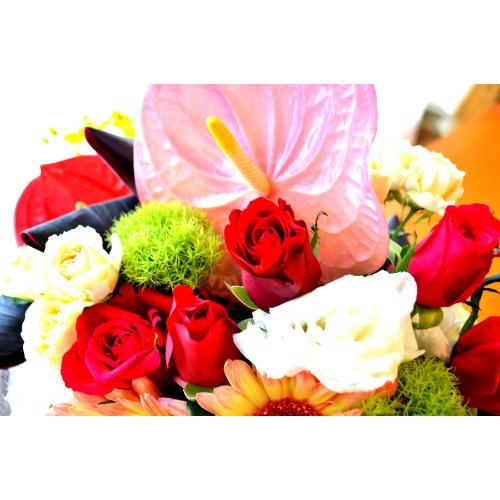 ��l�̃A�����W�����g�@Entertainment�@�i�o���ƃK�[�x���̃t�����[�A�����W�����g�jMix�J���[�@�a�����A�����L�O���A���j��5