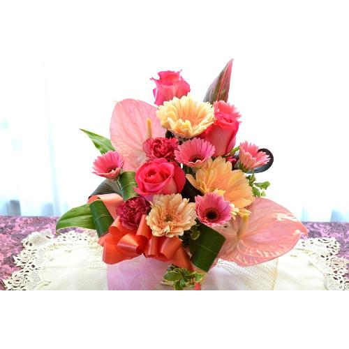 ��l�̃A�����W�����g�@DollAction�@�i�o���ƃK�[�x���̃t�����[�A�����W�����g�j�s���N�n�@�a�����A�����L�O���A���j��2